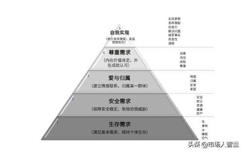 市场策划人的营销模型 解析框架化的成功之路